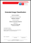 Bachelor Thesis